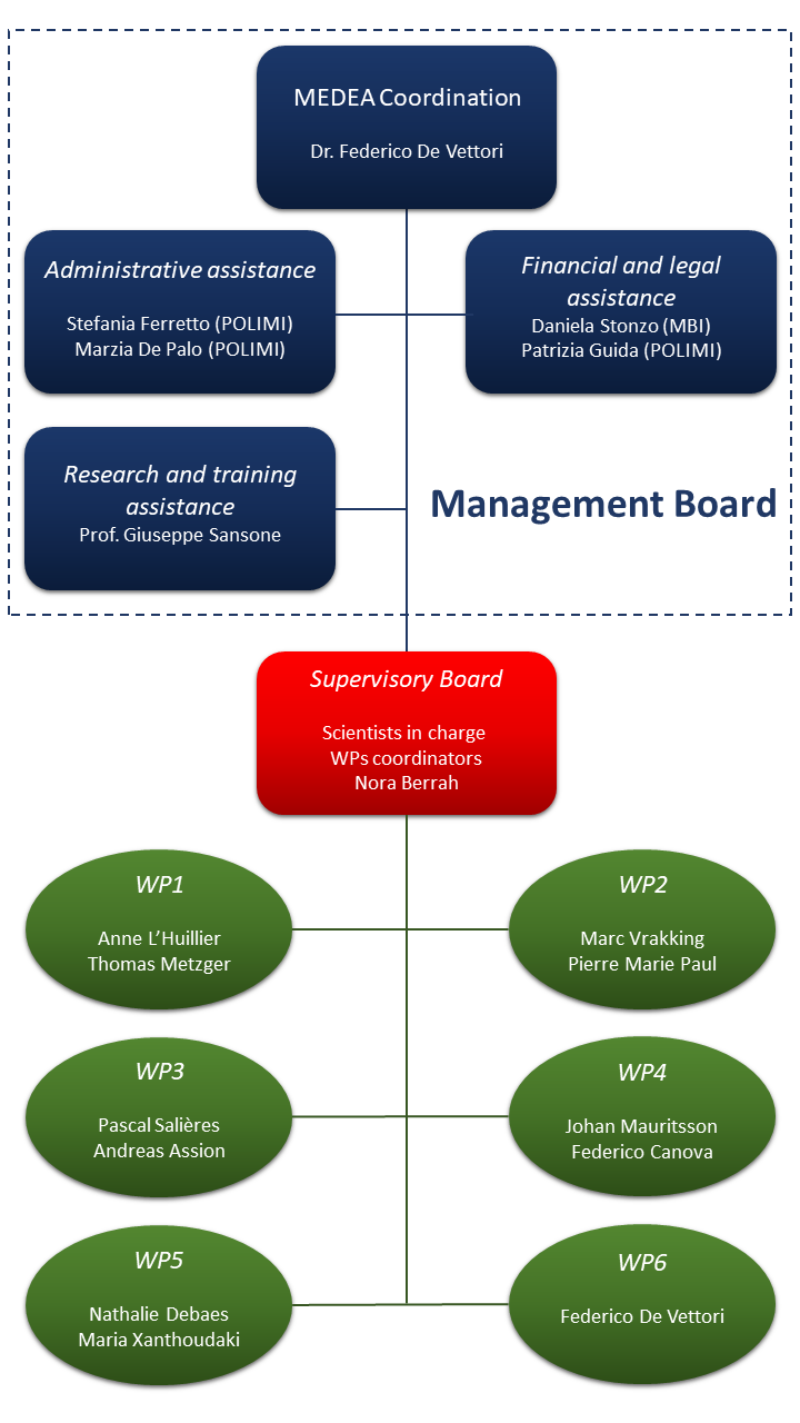 MEDEA_management